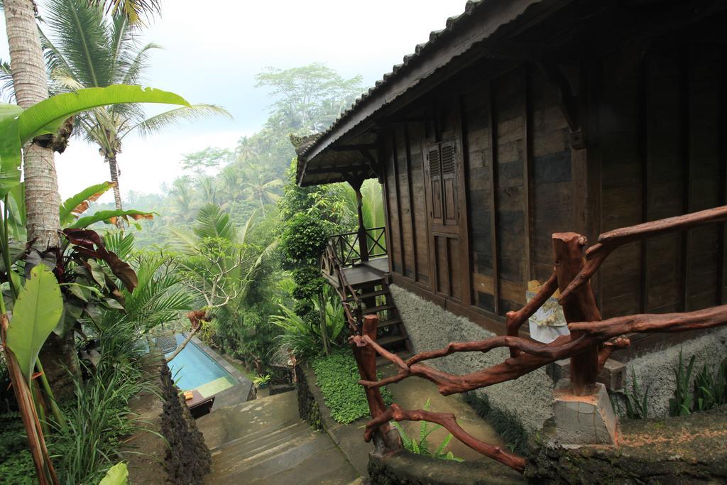 Ubud Jungle Holy Water Ngoại thất bức ảnh
